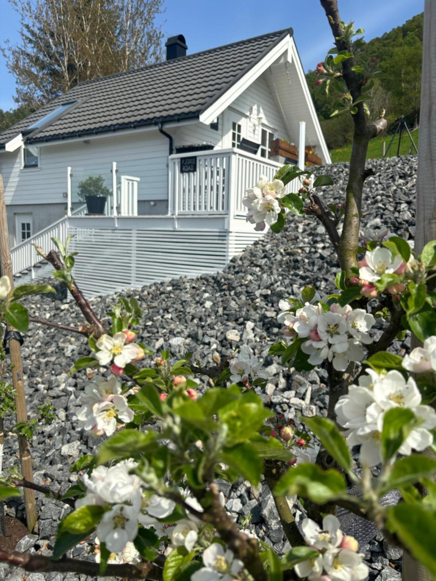 Appartamento Fjord Road Hjelmeland Esterno foto