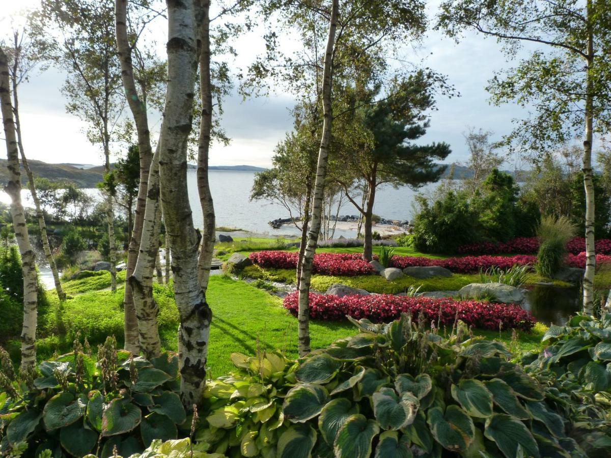 Appartamento Fjord Road Hjelmeland Esterno foto
