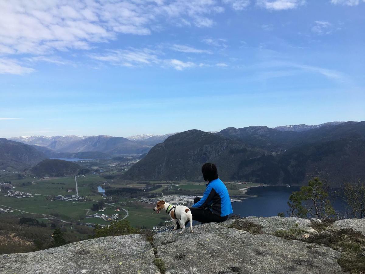 Appartamento Fjord Road Hjelmeland Esterno foto